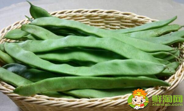 扁豆什么品种好，最大的扁豆品种