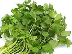 香菜什么时候种植最好，香菜种植方