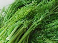 茴香菜的功效与作用及食用方法,哪些人不适合吃茴香菜