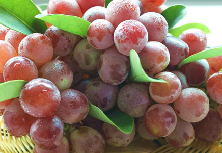 红提的功效与作用,红提的营养价值