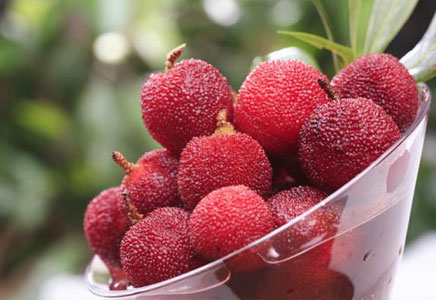 杨梅汁怎么做好吃,衣服上的杨梅汁怎么洗掉