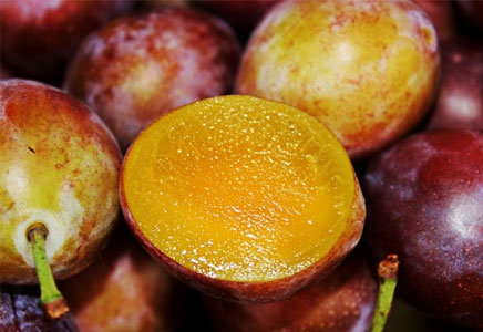 孕妇可以吃西梅吗,西梅怎么吃好呢