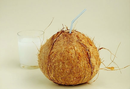 椰子图片,椰子树图片,椰子树的价值