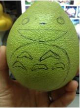 柚子龙猫怎么做,可爱的柚子龙猫做法(图文)