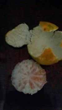 椰树水果拼盘怎么做,椰树水果拼盘做法图文剖