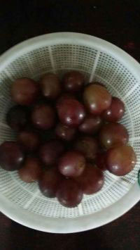 椰树水果拼盘怎么做,椰树水果拼盘做法图文剖