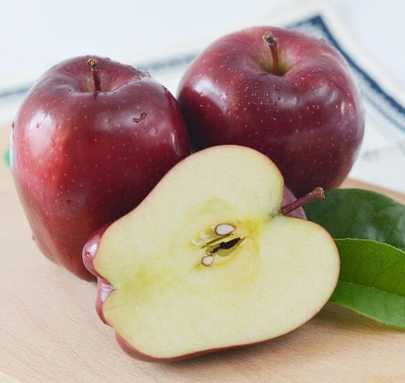 苹果的种类有哪些,什么苹果品种最好