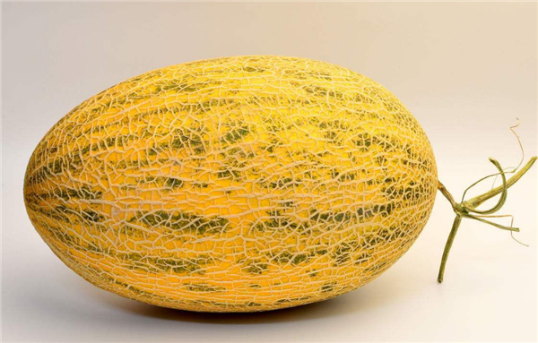 哈密瓜图片,哈密瓜种子,哈密瓜长在哪