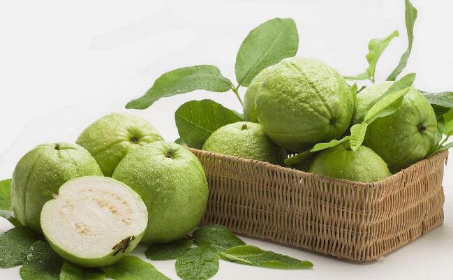 野生番石榴叶的功效,糖尿病患者应该多吃