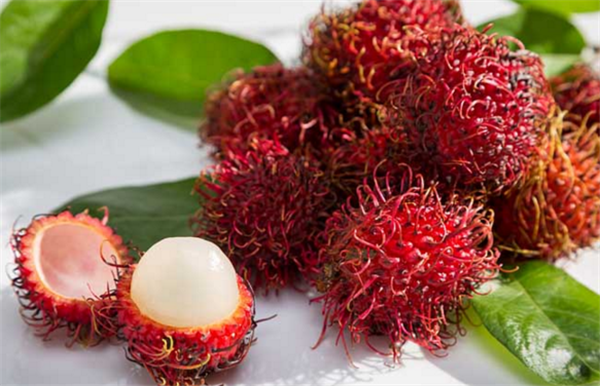 红毛丹是什么水果,红毛丹也叫毛荔枝