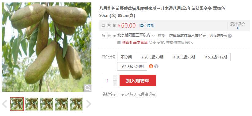 野香蕉多少钱一斤,八月瓜野香蕉30-60元/斤