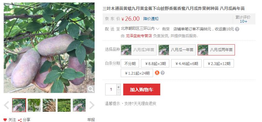 野香蕉多少钱一斤,八月瓜野香蕉30-60元/斤