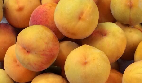 黄桃与桃子有什么区别,外观和成熟时间不同