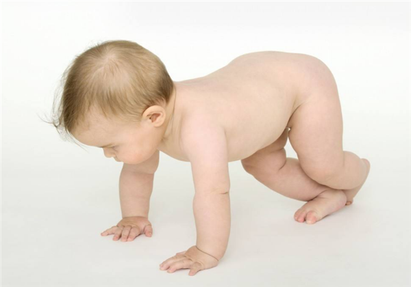 莲雾不能和什么一起吃 吃莲雾的禁忌有哪些