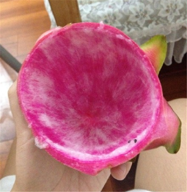 火龙果的各种切法图解,五种切法不用担心孩子吃的满脸都是啦