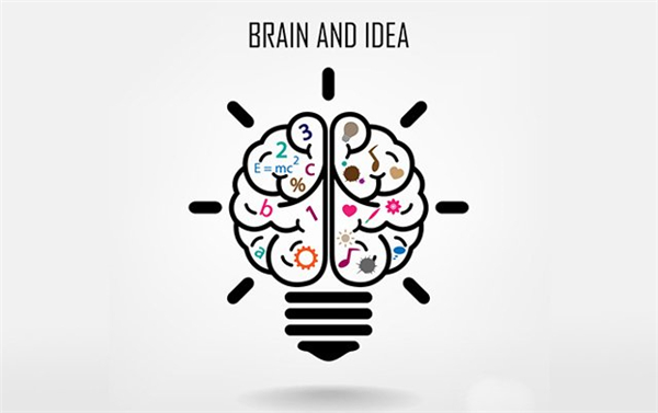 杈杷果的功效与作用 为什么市场上难以见到杈杷果