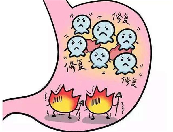 姑娘果的功效与禁忌 糖尿病能吃姑娘果吗