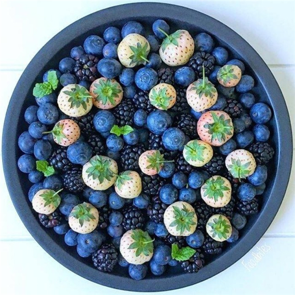 不切又简单的水果拼盘 懒癌晚期的不二之选