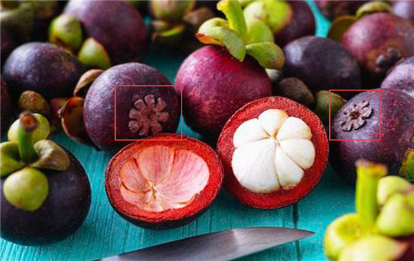 山竹肉变透明是坏了吗,山竹肉透明是冻伤可以吃