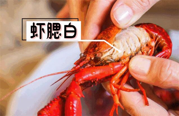 洗虾粉洗过龙虾能活吗,洗过的龙虾都表示奄奄一息生无可恋