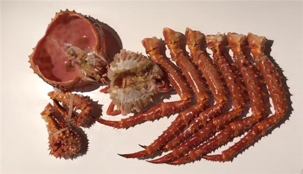 帝王蟹怎么杀图解 分解帝王蟹从“欺软怕硬”开始