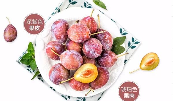 西梅是什么季节水果,西梅的营养价值