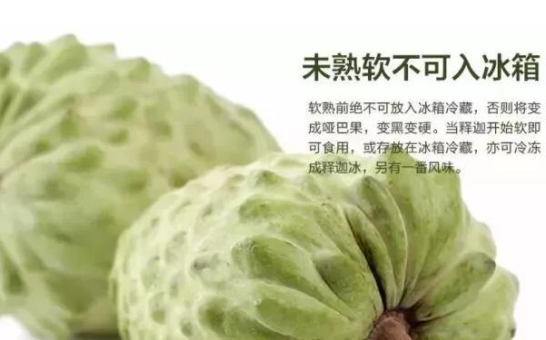 如何挑选释迦果,台湾释迦果怎么挑选,最简单的释迦果的挑选方法