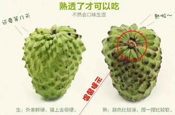 如何挑选释迦果,台湾释迦果怎么挑选,最简单的释迦果的挑选方法