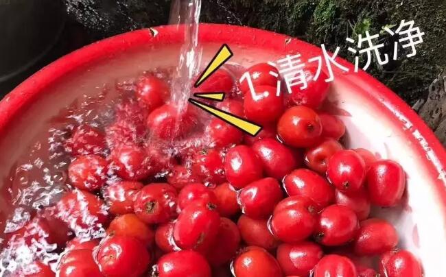 羊奶果好吃吗,羊奶果怎么吃,羊奶果图片步骤三种做法