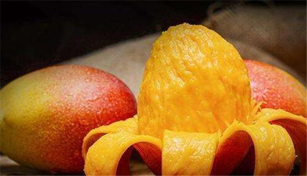 吃芒果有什么禁忌,食用芒果的禁忌(饭后千万不要食用它)