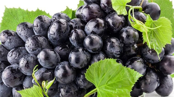 肾虚吃什么水果最好,肾虚吃什么水果能补可以补