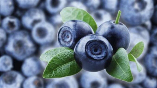 肾虚吃什么水果最好,肾虚吃什么水果能补可以补