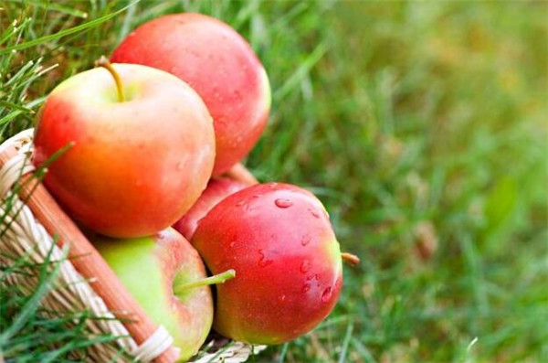 感冒了吃什么水果好的快,感冒了吃什么水果比较好