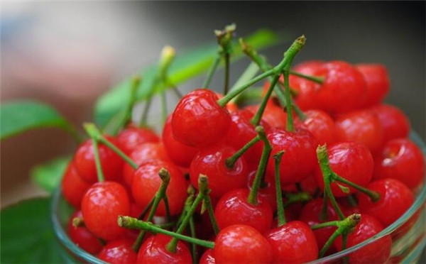 拉肚子可以吃什么水果,拉肚子不能吃什么水果