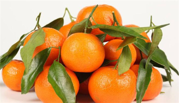 拉肚子可以吃什么水果,拉肚子不能吃什么水果