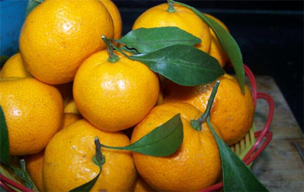 小孩咳嗽吃什么水果好的快,小孩咳嗽吃什么水果比较好最好呢