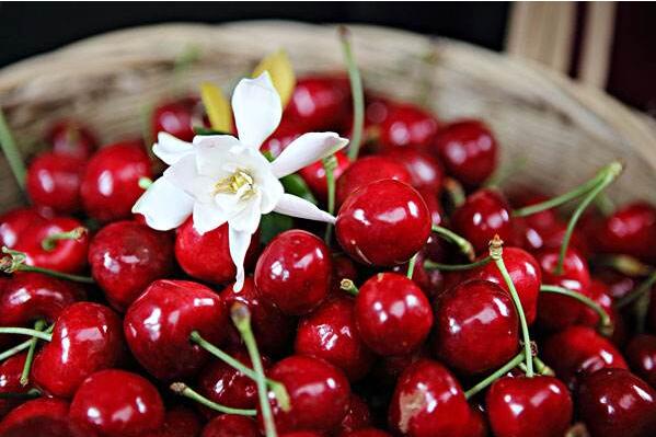 糖尿病能吃什么水果,糖尿病不宜吃6种水果