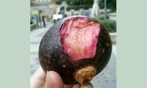 山竹水果的正确吃法漫画,挑选水果的正确吃法山竹篇