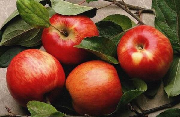 什么时间吃水果好,什么时间吃水果最好