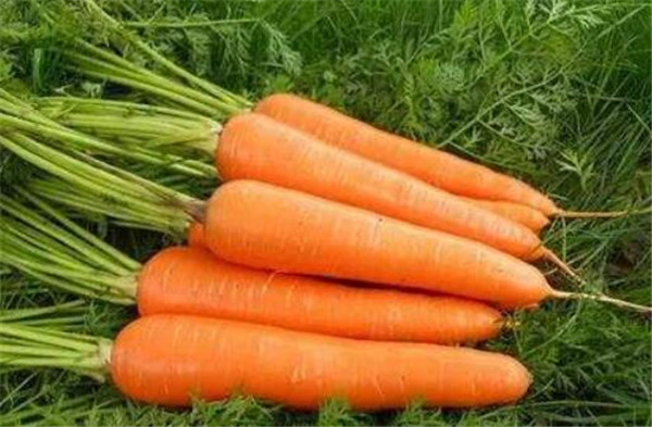 柠檬不能和什么一起吃,柠檬和什么一起吃会中毒