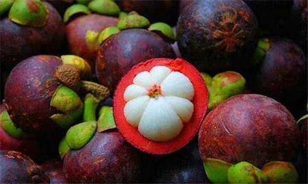榴莲不能和什么一起吃,吃榴莲的7大禁忌