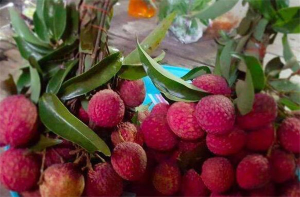 榴莲不能和什么一起吃,吃榴莲的7大禁忌