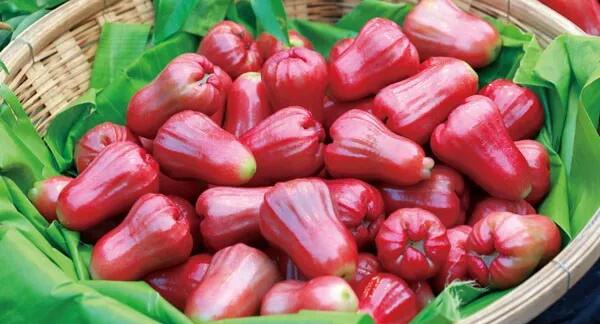 泰国海南莲雾几月份上市,莲雾几月份上市多少一斤