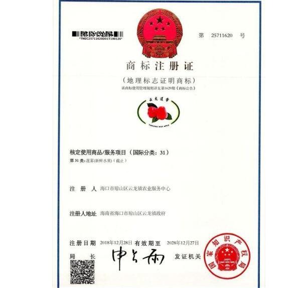 泰国海南莲雾几月份上市,莲雾几月份上市多少一斤