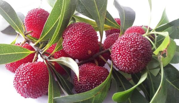 上火不能吃什么水果,8种上火不能吃的水果