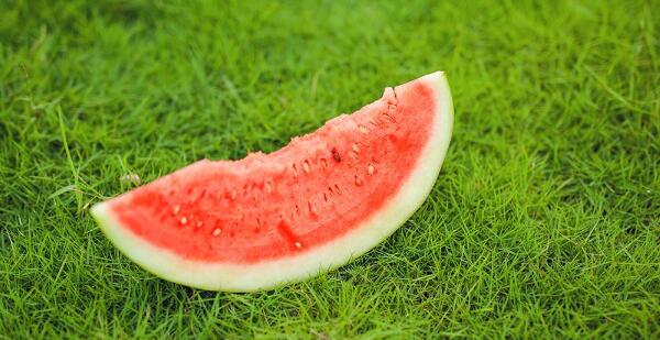 超补水的水果有哪些,什么水果能快速补水