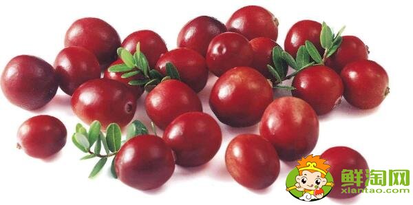 抗氧化水果有哪些,最具抗氧化的水果排名(十佳排行榜)