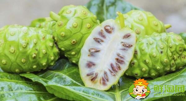 抗氧化水果有哪些,最具抗氧化的水果排名(十佳排行榜)