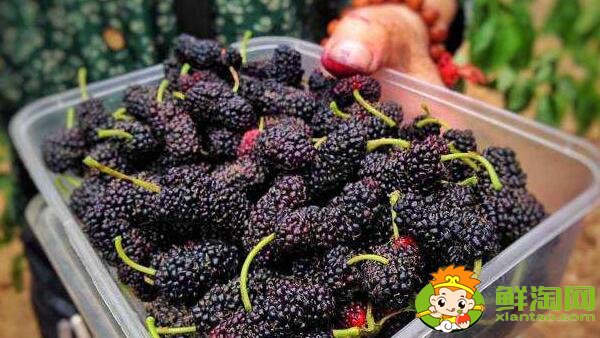 抗氧化水果有哪些,最具抗氧化的水果排名(十佳排行榜)