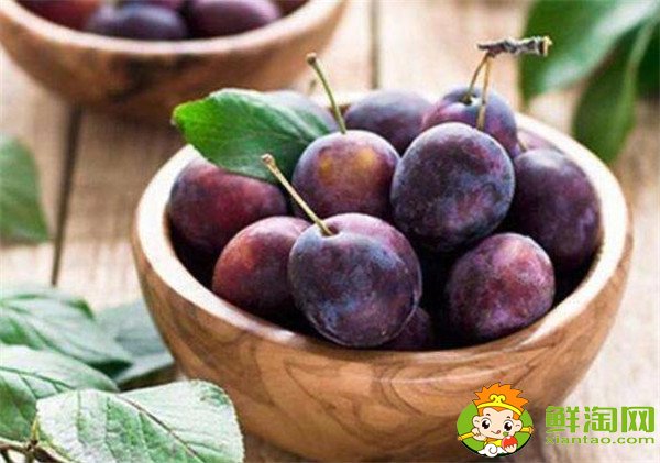 新鲜西梅的功效与作用禁忌,新西梅有什么好处